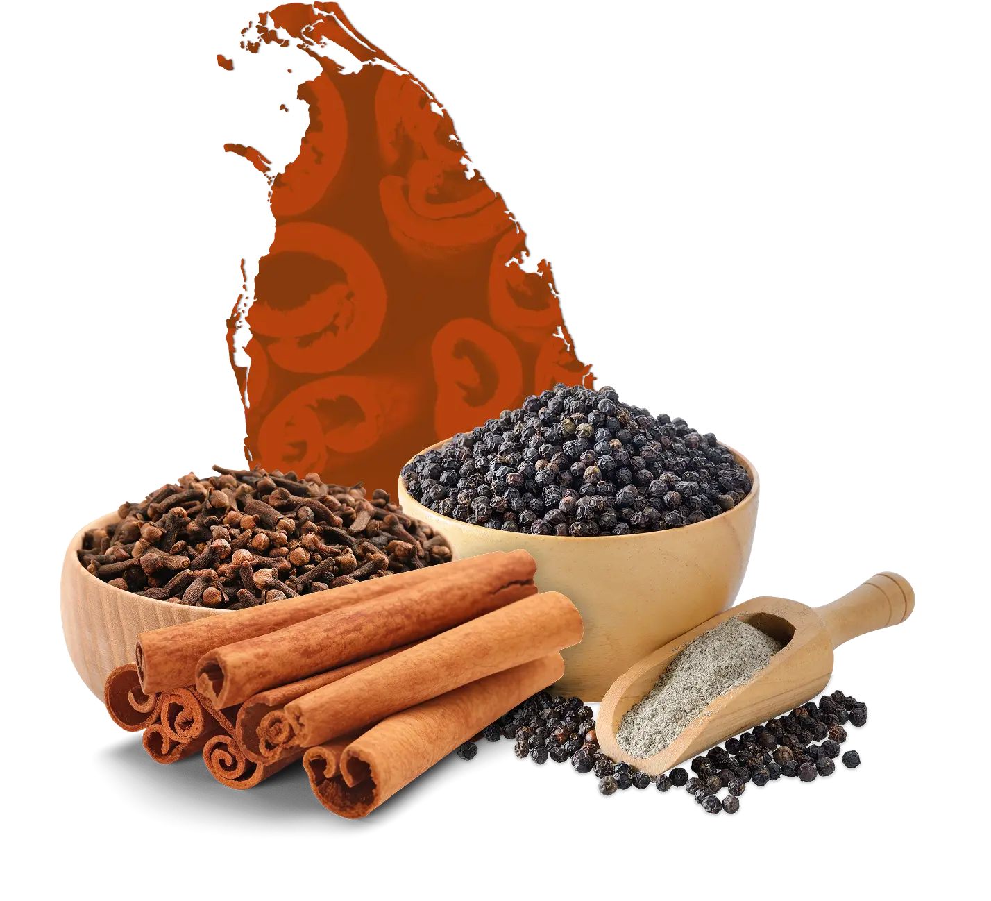 ceylon spices exporters
